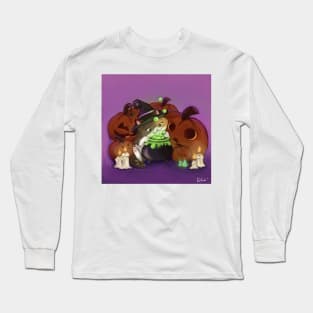 fluffy cat Long Sleeve T-Shirt